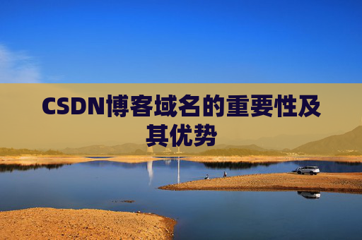 CSDN博客域名的重要性及其优势